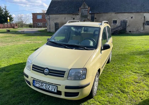 fiat Fiat Panda cena 5500 przebieg: 235000, rok produkcji 2005 z Lidzbark